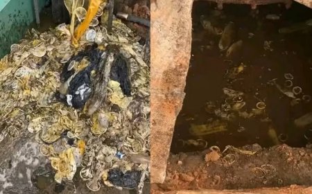 नाले के अंदर और बाहर मिला कंडोम ही कंडोम, PG Girls College