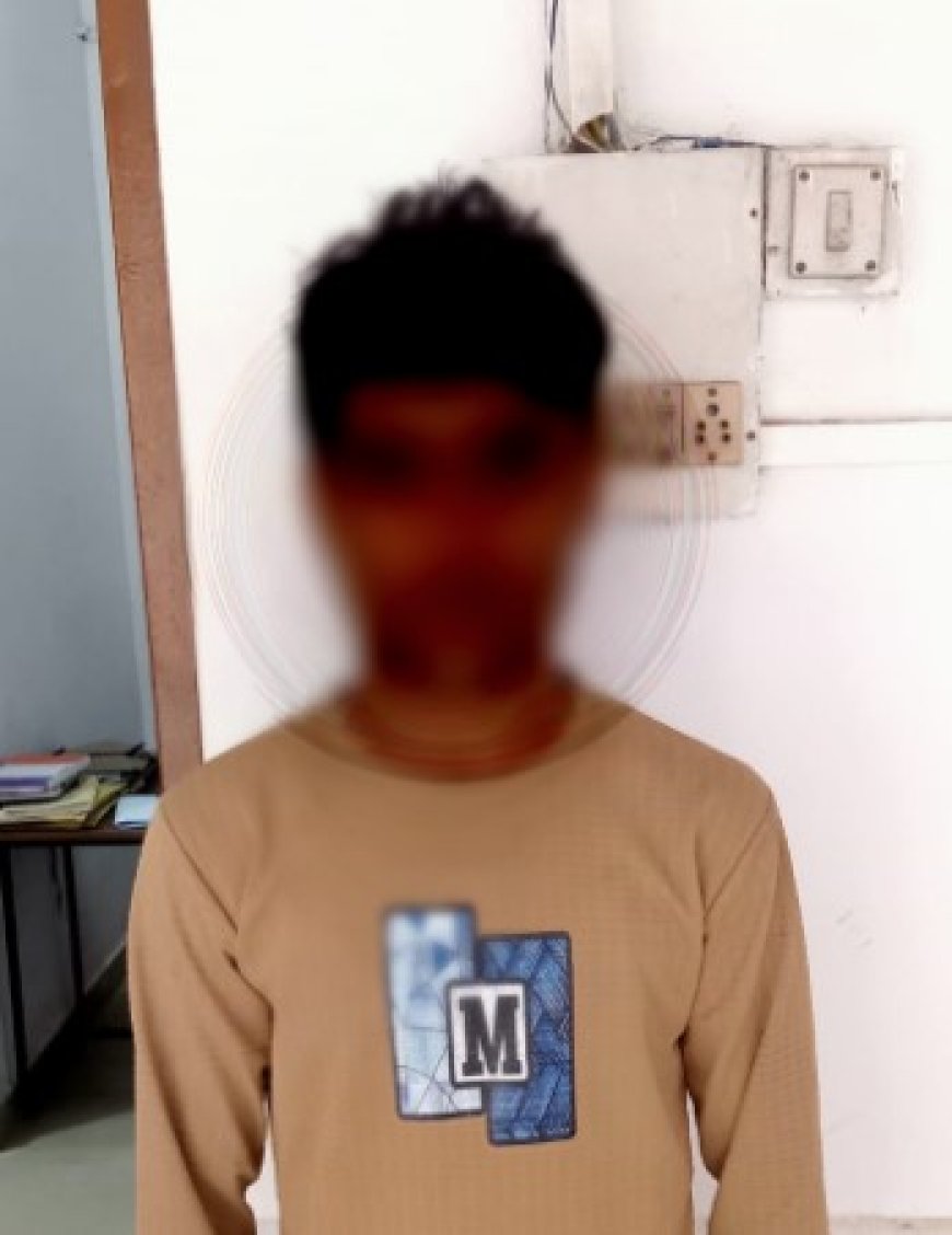नाबालिग को बहला फुसलाकर भगाने वाला आरोपी गिरफ्तार