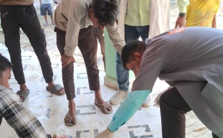 निशुल्क 1962 टीम ने बन्दर का किया इलाज बचीं जान