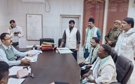 पीस पार्टी ने जिलाधिकारी से मिलकर दो समस्याओं के समाधान हेतु सौंपा पत्र