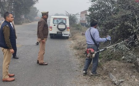 यातायात पुलिस नें बढ़ी हुई झाड़ियों को कटवाया 