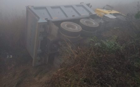 घना कोहरा के कारण अनियंत्रित होकर डमफर पलटा