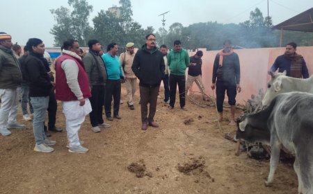 ठंड से एक भी जान न जाए, प्रशासन पूरी तरह मुस्तैद- डीएम आलोक कुमार