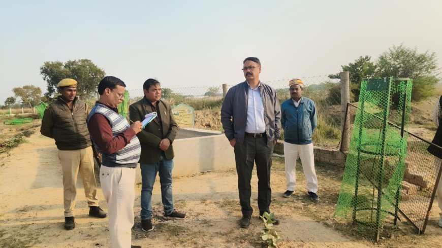 डीएम ने गो-आश्रय स्थल चैरी व गो-आश्रय स्थल शिवापार का किया स्थलीय निरीक्षण