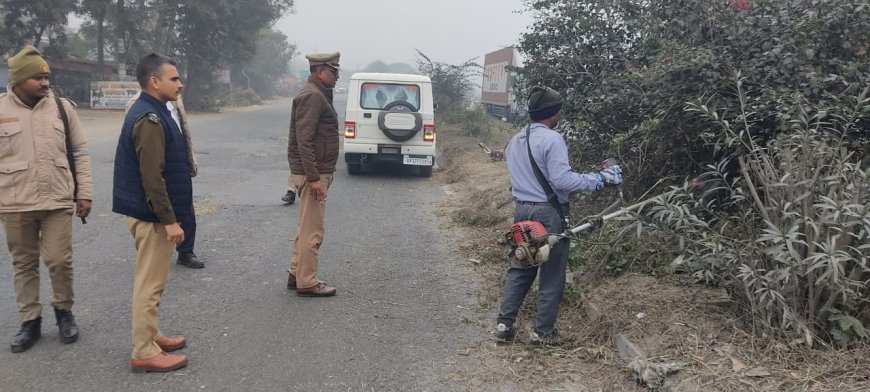 यातायात पुलिस नें बढ़ी हुई झाड़ियों को कटवाया 