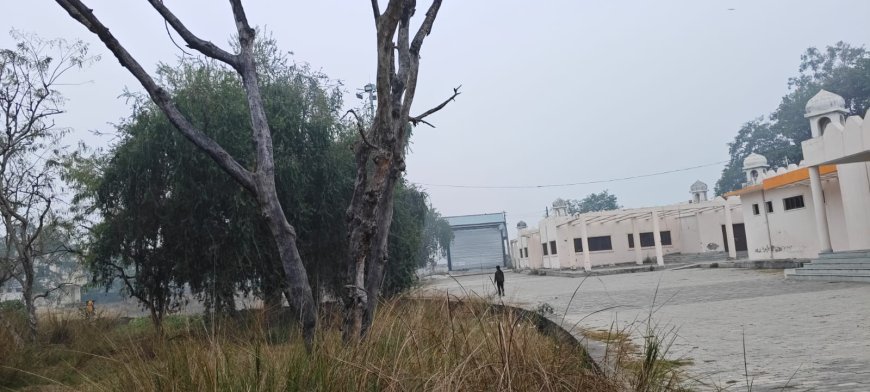 कबीर परिसर में आधा दर्जन सूखे पेड़, साबित हो रहे जानलेवा 