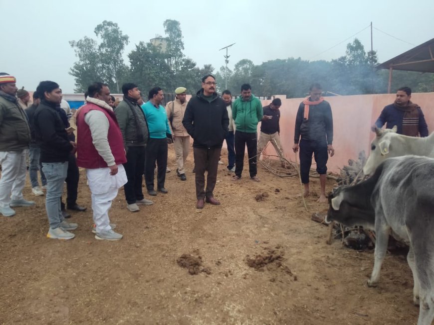 ठंड से एक भी जान न जाए, प्रशासन पूरी तरह मुस्तैद- डीएम आलोक कुमार