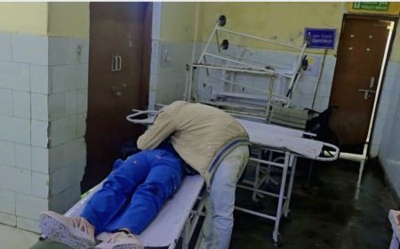 अज्ञात वाहन की टक्कर से लड़की की दर्दनाक मौत