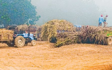 पर्ची का इंडेक्स कटने में देरी को लेकर गन्ना किसान परेशान 