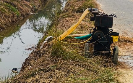 क्षमता से नहीं पहुंच रहा पानी पंपसेट लगाना किसानों की मजबूरी 