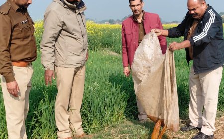 संतकबीरनगर में आबकारी विभाग व पुलिस की संयुक्त कार्रवाई 120 किलोग्राम महुआ लहन किया नष्ट