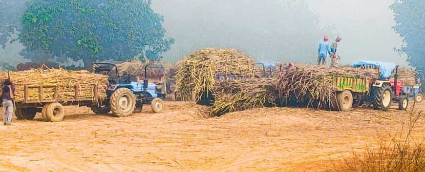 पर्ची का इंडेक्स कटने में देरी को लेकर गन्ना किसान परेशान 