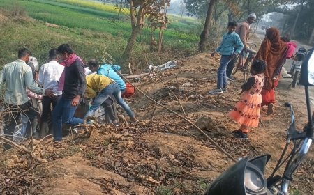 ई-रिक्शा अनियंत्रित होकर सड़क के नीचे पलटा, पांच घायल 