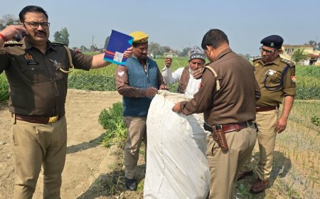 55 लाख की अवैध अफीम खेती का भंडाफोड़