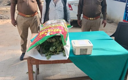 अवैध अफीम के खेती का भंडाफोड़ पुलिस ने किया गिरफ्तार 