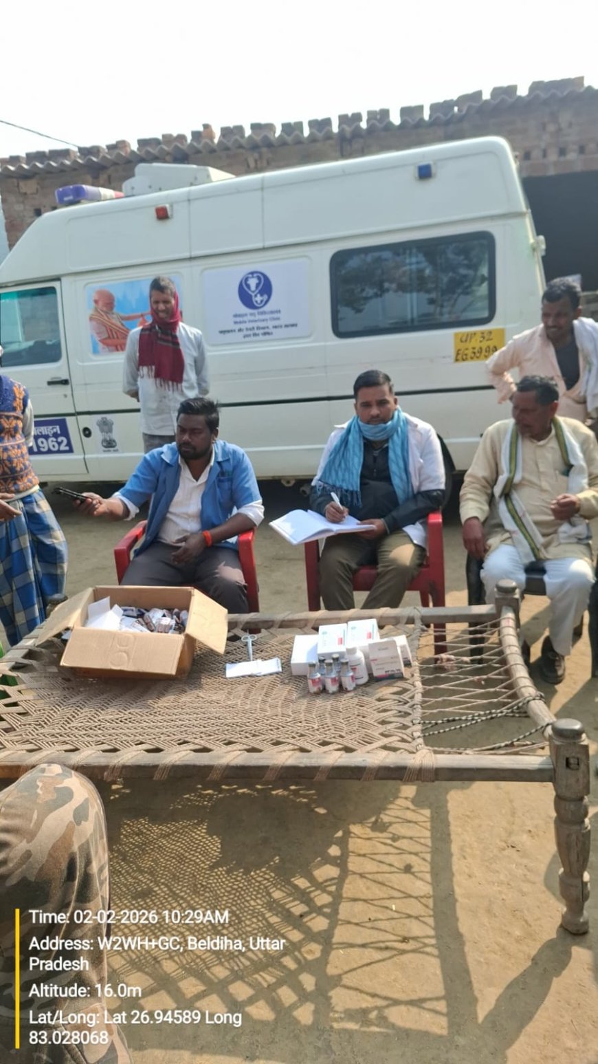 1962 टीम द्वारा पशुओं का निःशुल्क टीकाकरण