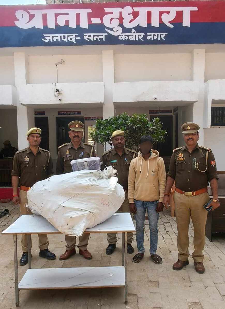 दुधारा पुलिस की बड़ी कार्यवाही, 28.5 किग्रा अफीम के पौधों के साथ अभियुक्त गिरफ्तार