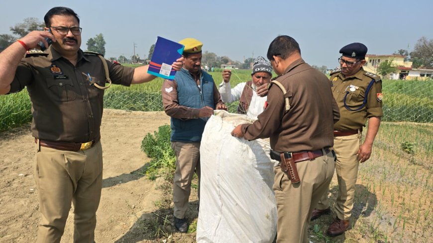 55 लाख की अवैध अफीम खेती का भंडाफोड़