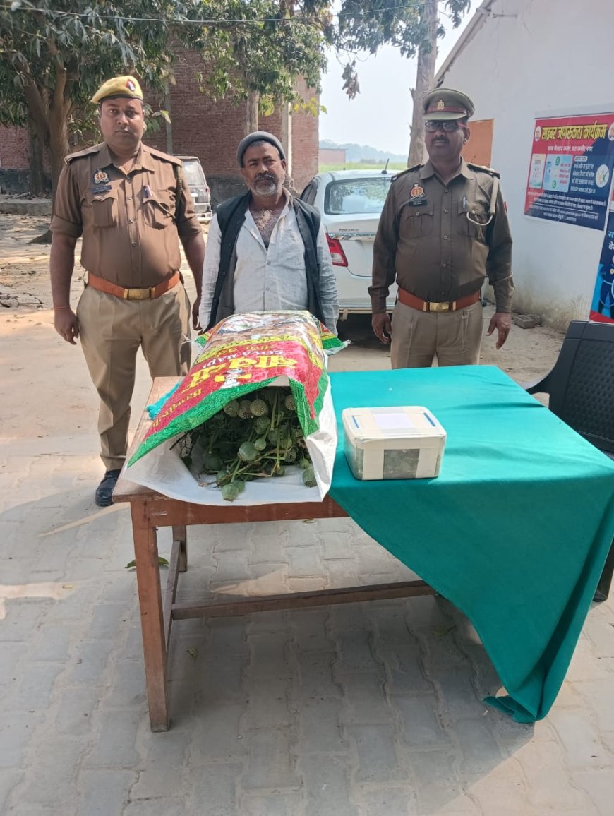 अवैध अफीम के खेती का भंडाफोड़ पुलिस ने किया गिरफ्तार 