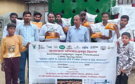 किसानों में निशुल्क वितरण किया गया मक्का बीज़ 