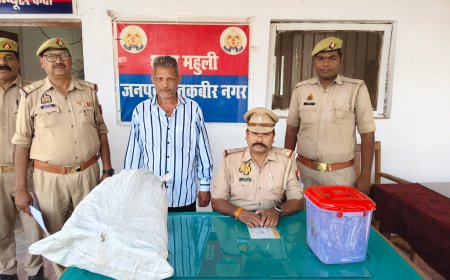 संतकबीरनगर  में अफीम के पौधे आठ किलो 750 ग्राम हुआ बरामद