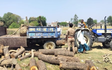 अवैध रुप से काटा शीशम,  वन कर्मियों से किया हाथापाई, केस दर्ज