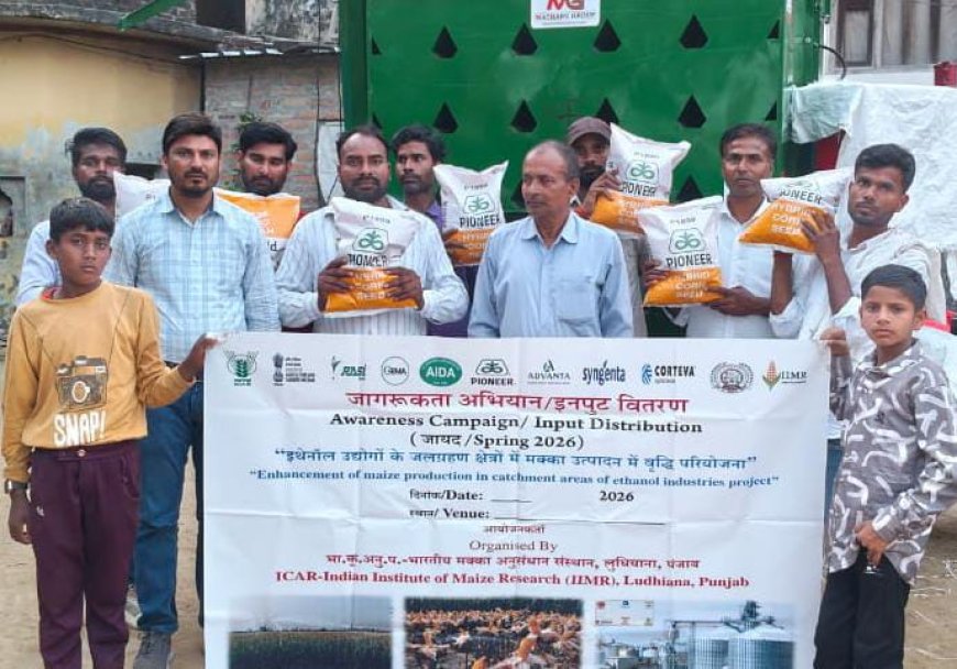 किसानों में निशुल्क वितरण किया गया मक्का बीज़ 