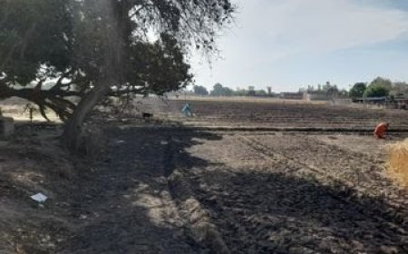 महुली में शार्ट सर्किट से लगी आग, 35 बीघा गेहूं की फसल राख, कई किसान प्रभावित