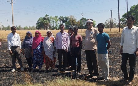 बिजली के शॉर्ट सर्किट से गेहूं ’के खेत में लगी आग गेहूं जलकर राख