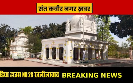 सरकारी भूमि से अवैध कब्ज़ा हटाने का हाईकोर्ट ने दिए आदेश