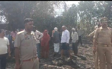 अज्ञात कारणों से लगी आग से करीब दस बीघा फसल जली