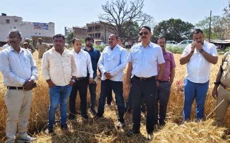 डीएम आलोक कुमार द्वारा रबी वर्ष 2025-26 के क्राप कटिंग का किया गया निरीक्षण