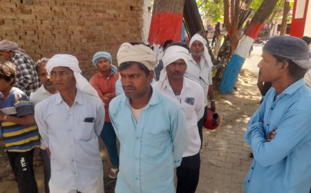 पेड़ से लटकता मिला बुजुर्ग का शव