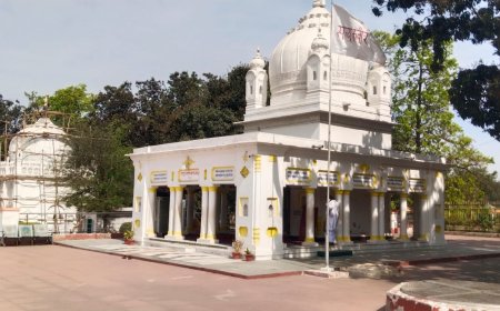 शादी-विवाह में गैस सिलेंडर के लिए नई व्यवस्था, पूर्ति विभाग का निर्देश