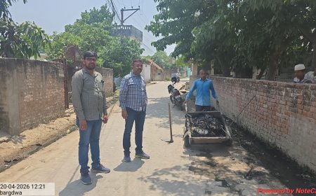 एडीओ पंचायत ने दो गांव का किया औचक निरीक्षण, मिली कमियां