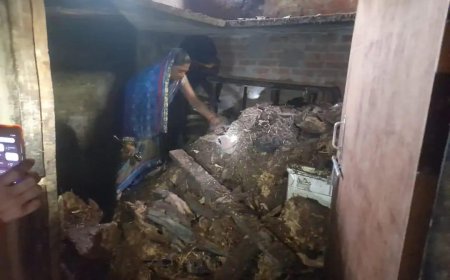 महुली थाना क्षेत्र के नाथनगर बड़का पुरवा में लगी आग का मामला 