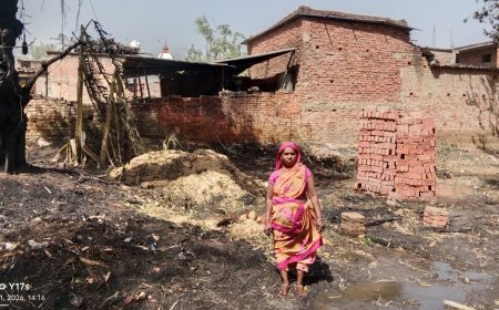 आग की आंधी कछार में उठी चिंगारी ने निगल ली खेत खलिहान, किसान खड़े रह गए बेबस