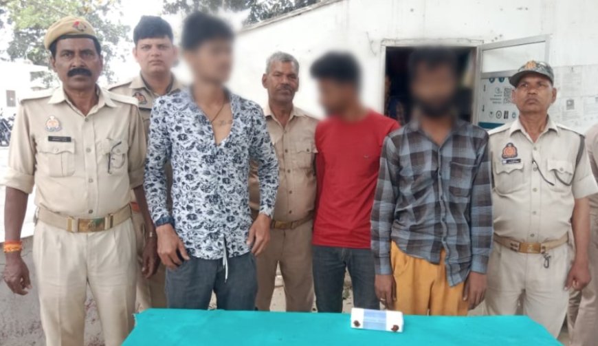 पुलिस नें तीन झपटेमारी अभियुक्तो को किया गिरफ्तार