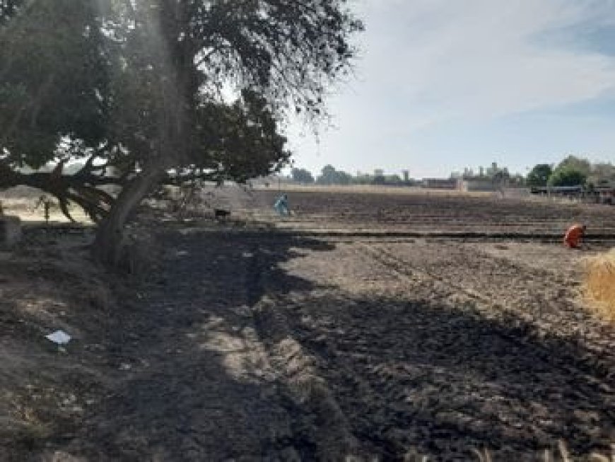 महुली में शार्ट सर्किट से लगी आग, 35 बीघा गेहूं की फसल राख, कई किसान प्रभावित