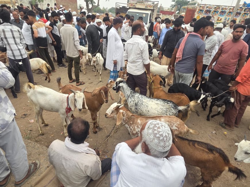सेमरियावां के बकरा बाजार में उमड़ रही भीड़, 50 हजार तक बिक रहे बकरे