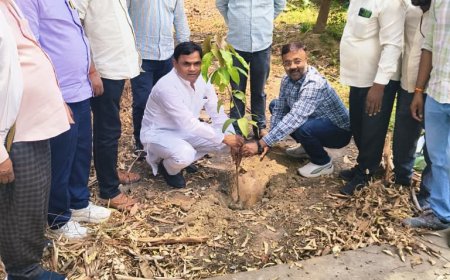 व्लाक प्रमुख डॉ भूपेंद्र सिंह ने किया वृक्षारोपण