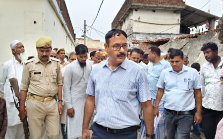 डीएम आलोक कुमार नें परसा माफी स्थित शिव मंदिर के पर्यटन विकास कार्यों का किया निरीक्षण