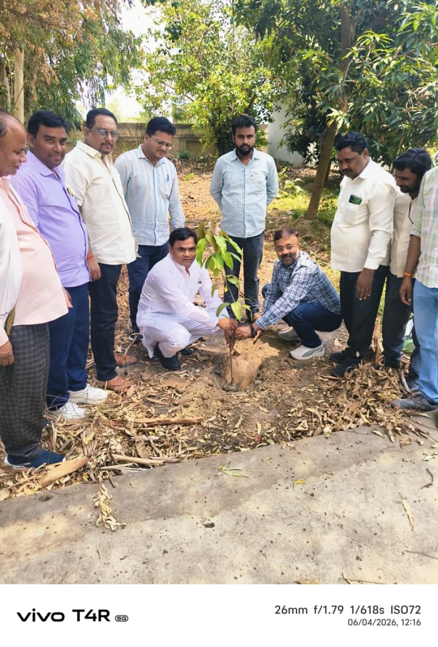व्लाक प्रमुख डॉ भूपेंद्र सिंह ने किया वृक्षारोपण