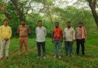 जंगल में तेंदुआ जानवर की सूचना पर वन विभाग अलर्ट