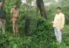 तेंदुए को पकड़ने के लिए वन विभाग का अभियान तेज