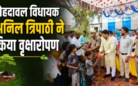 मेहदावल विधायक अनिल त्रिपाठी ने किया वृक्षारोपण 