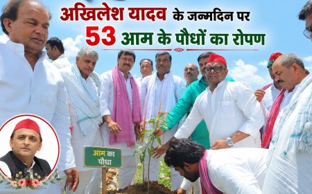 अखिलेश यादव के जन्मदिन पर 53 आम के पौधों का रोपण, गोष्ठी आयोजित