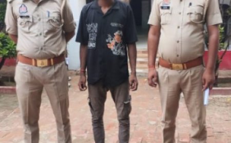 महिला के साथ दुष्कर्म करने के मामले में अभियुक्त गिरफ्तार