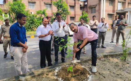 संतकबीरनगर  में जिला जज के नेतृत्व में पौधारोपण कार्यक्रम का हुआ आयोजन