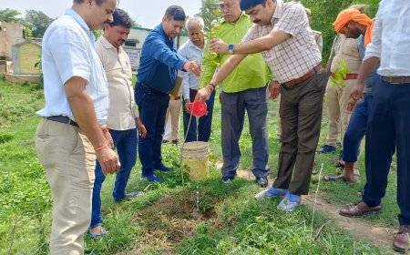 सेमरियावां व सांथा विकास क्षेत्र में मण्डलायुक्त ने पौधारोपण कर लोगो को दिया पौधा संरक्षित करने का संदेश